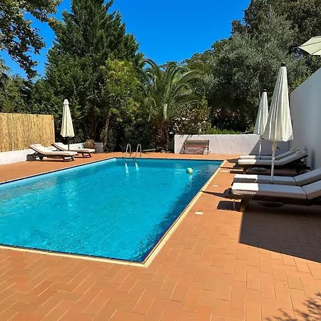 펜션 The Hidden 콜리오스